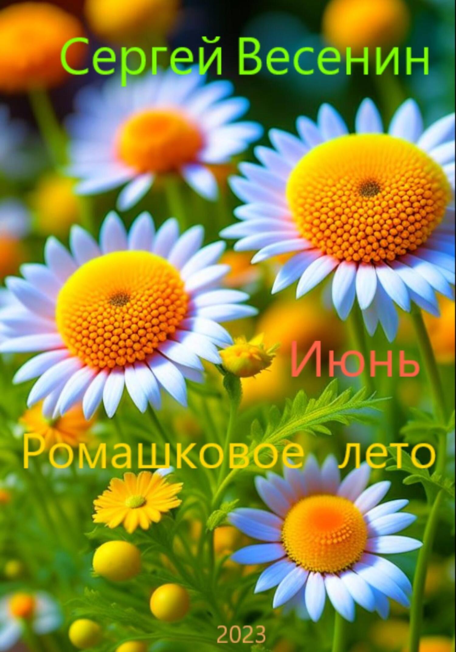 Куда уходит детство?, Сергей Весенин – скачать книгу бесплатно fb2, epub,  pdf на ЛитРес
