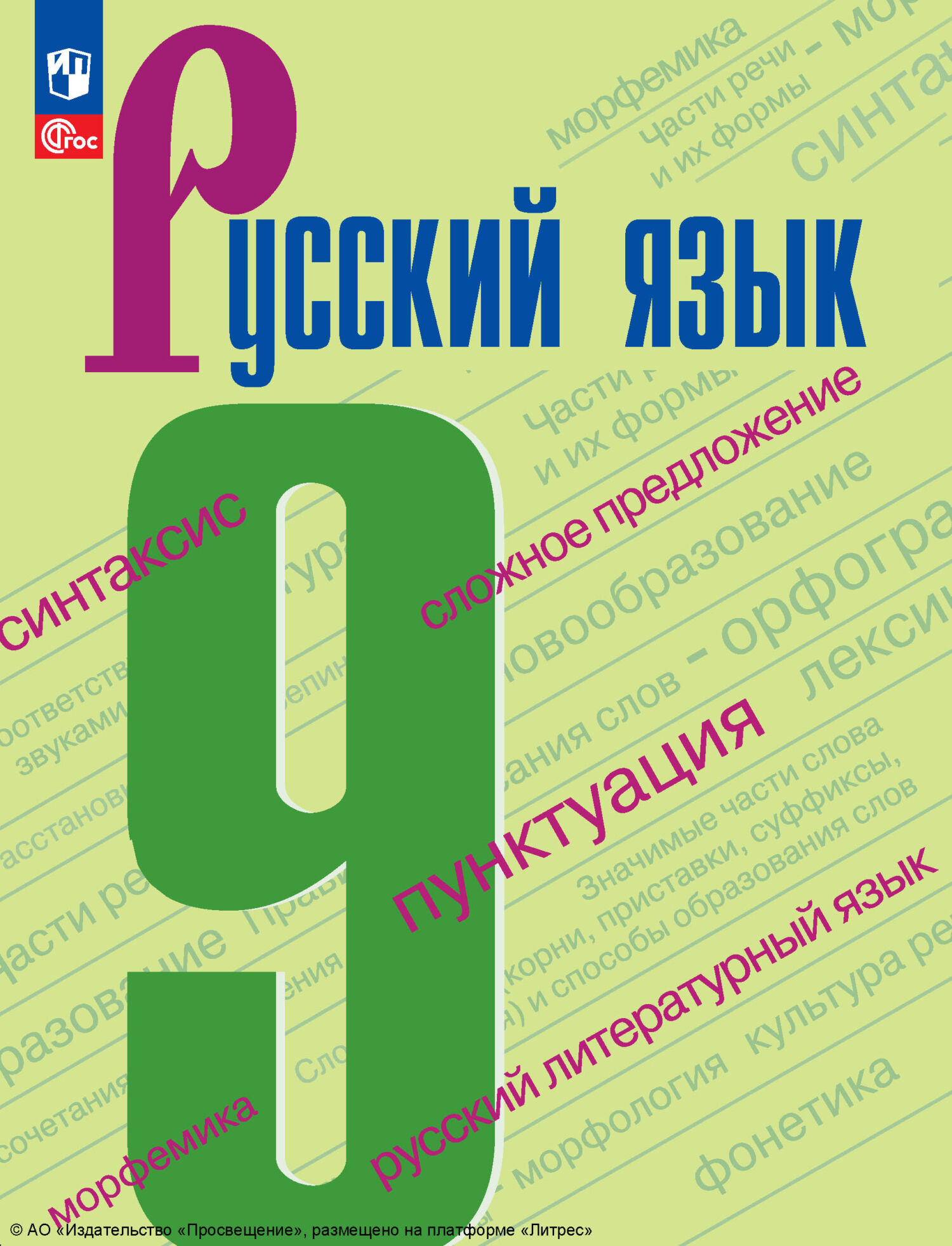 Русский язык. 9 класс», И. В. Текучёва – скачать pdf на Литрес