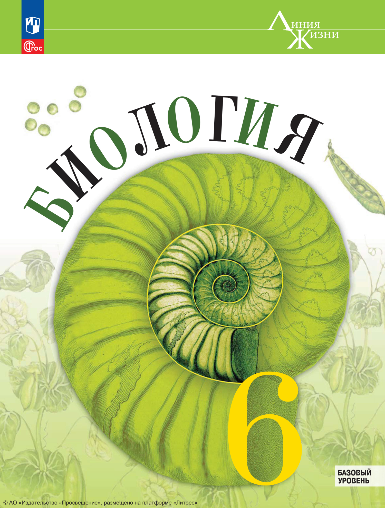 «Биология. 6 класс. Базовый уровень», Владимир Пасечник – скачать pdf ...