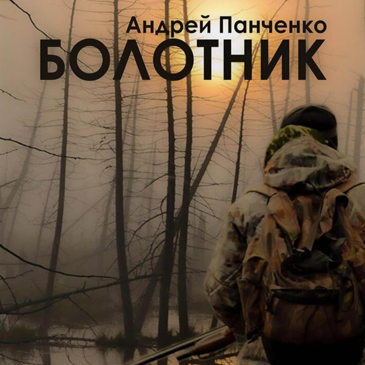 Аудиокнига попаданцы болотник. Щепан твардох. Аудиокнига попаданцы болотник. Аудиокнига попаданцы болотник. Книга неизбежное панченко.
