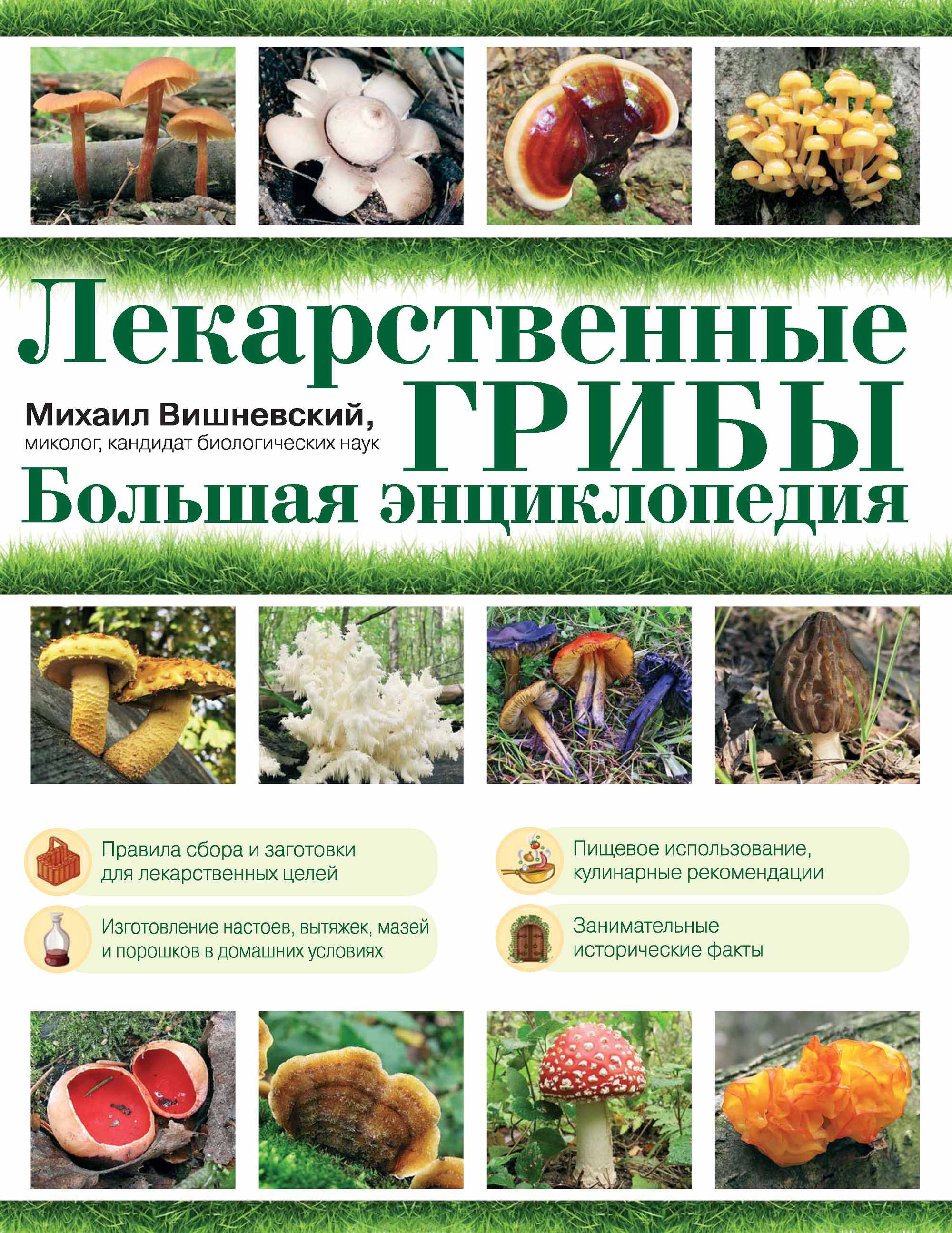 Где Купить Книги Про Грибы