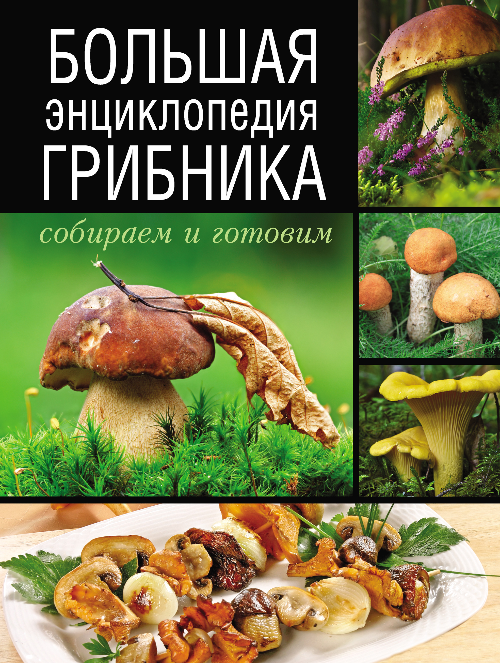 Где Купить Книги Про Грибы