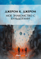 Значок книги