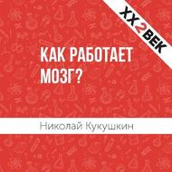 Значок книги