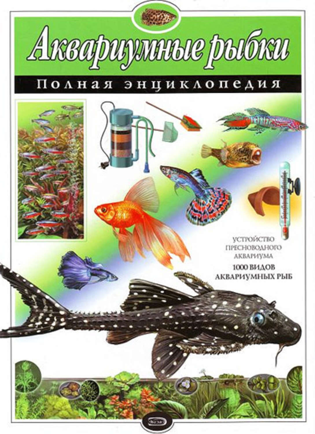 Скачать книгу про аквариумных рыбок pdf