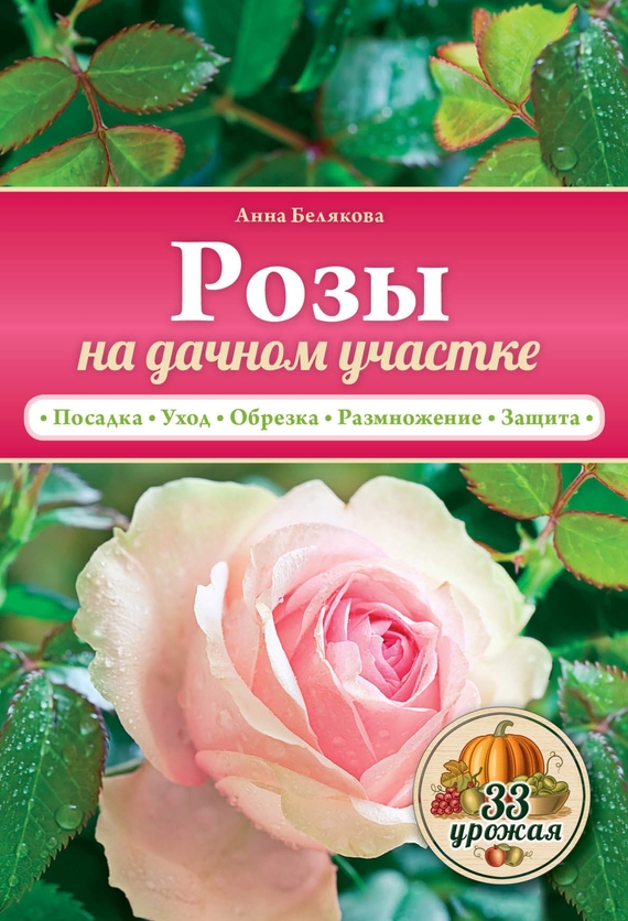 Анна Белякова — Розы на дачном участке