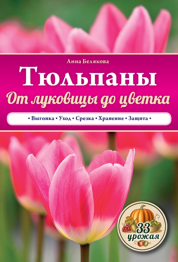 Анна Белякова — Тюльпаны. От луковицы до цветка
