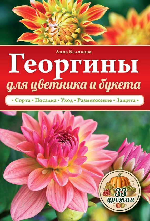 Анна Белякова — Георгины для цветника и букета