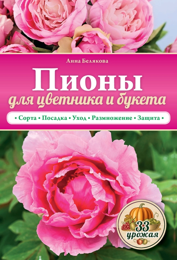 Анна Белякова — Пионы для цветника и букета