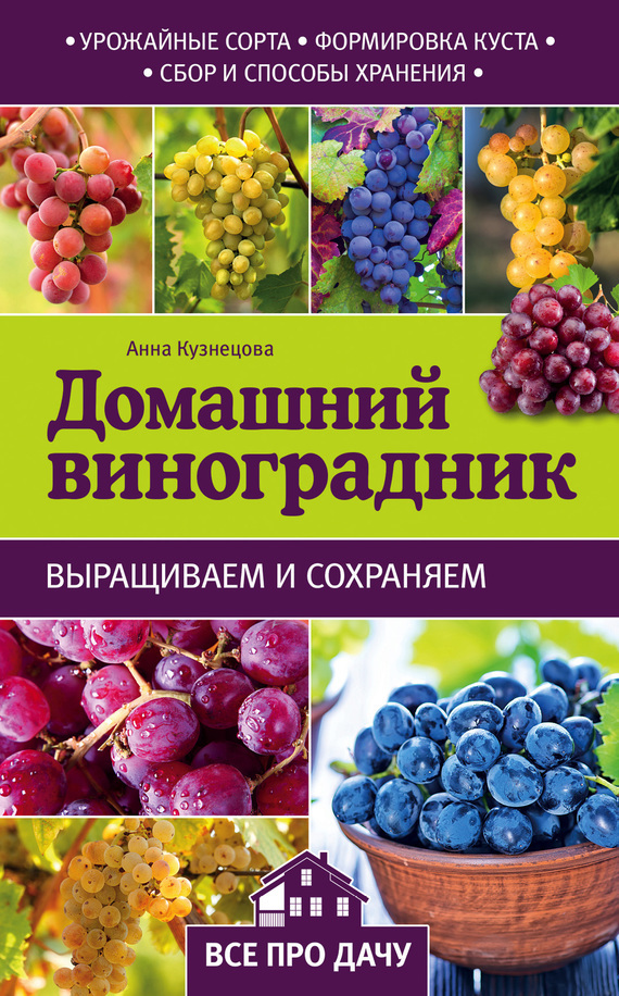 Анна Кузнецова — Домашний виноградник