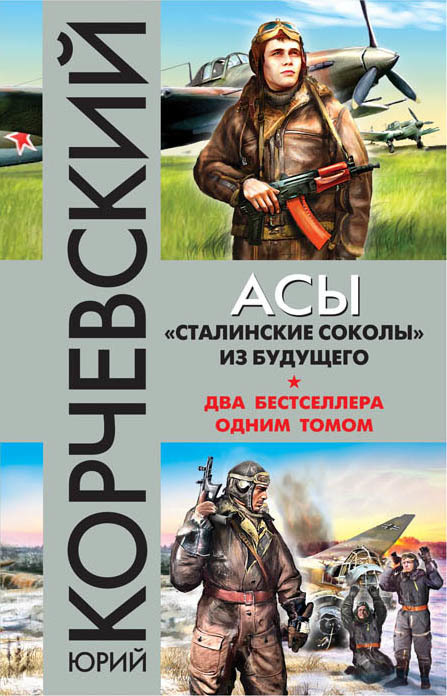обложка электронной книги Асы. «Сталинские соколы» из будущего