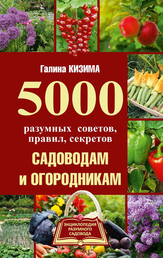 Галина Кизима — 5000 разумных советов, правил, секретов садоводам и огородникам